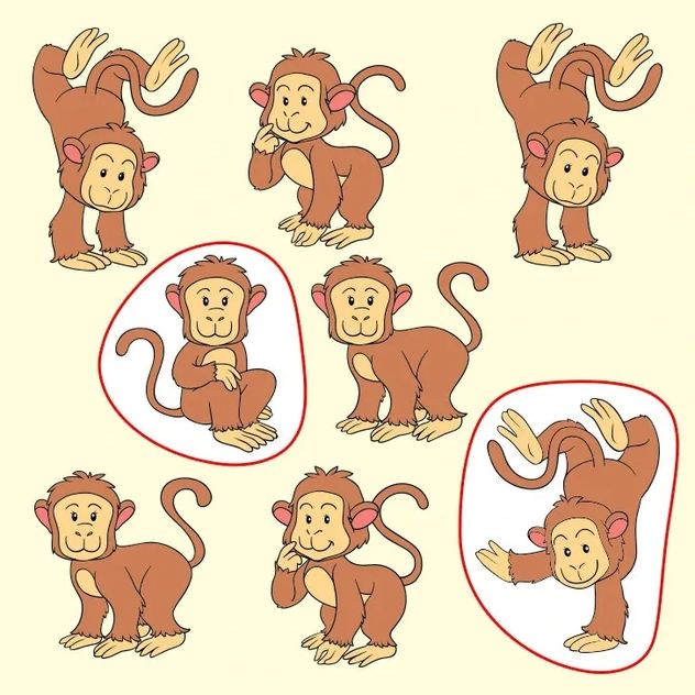 El acertijo visual.
