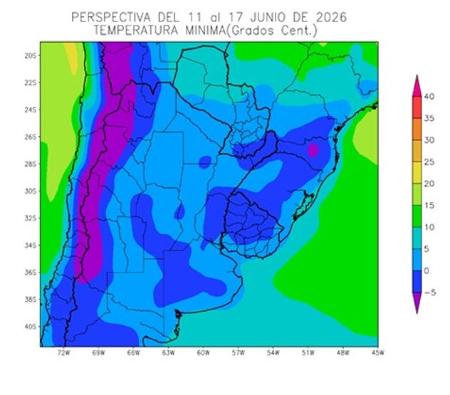 Perspectiva del 11 al 17 de junio.