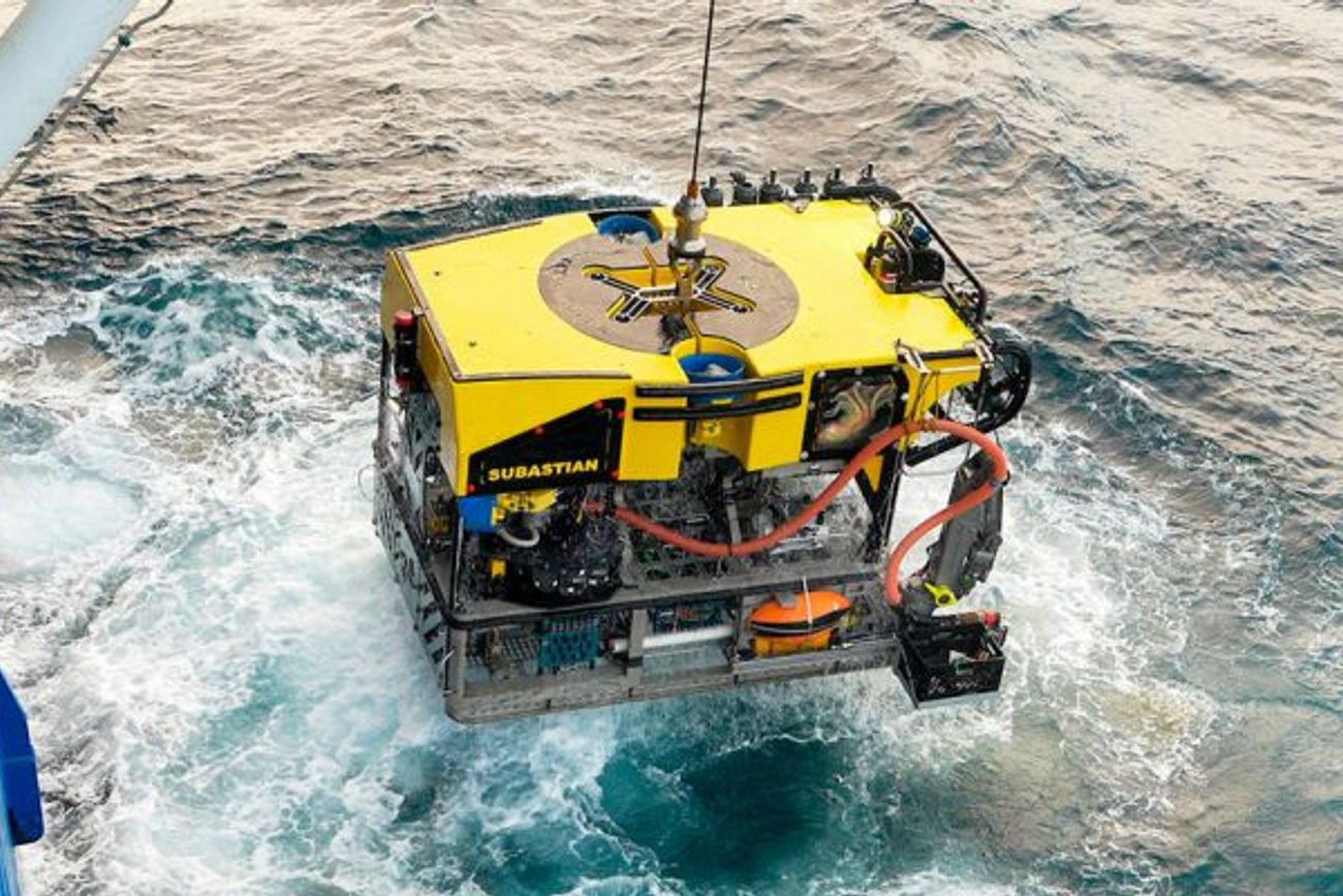 Científicos del Conicet volverán a explorar las profundidades del Mar Mar Argentino: cuándo se hará la expedición 