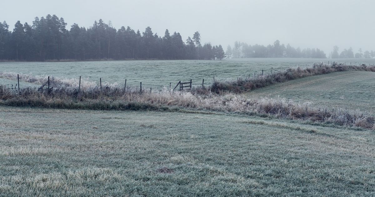 LLEGAN LAS HELADAS. Según el pronóstico extendido de la Bolsa de Cereales de Buenos Aires, se espera que en la provincia de Córdoba lleguen temperaturas bajo 0°C durante varios días. 