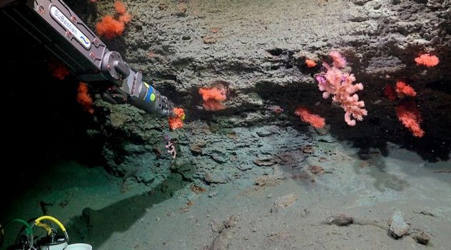 El equipo Gempa está integrado por 19 investigadores de distintas instituciones del país, entre ellas del Instituto de Diversidad y Ecología Animal (Idea-UNC-Conicet) de Córdoba.