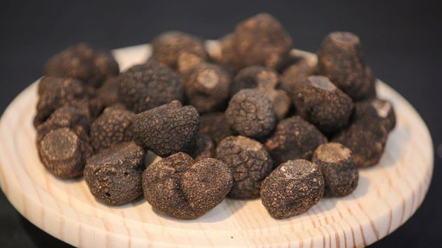 Dónde probar trufa negra en Argentina: el evento que reúne a chefs y productores.