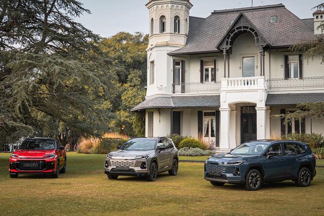 A diferencia de otros híbridos que llegan a la Argentina con incentivos aduaneros, la RAV 4 tributa el 35% de arancel y por eso tiene un precio mucho más elevado.