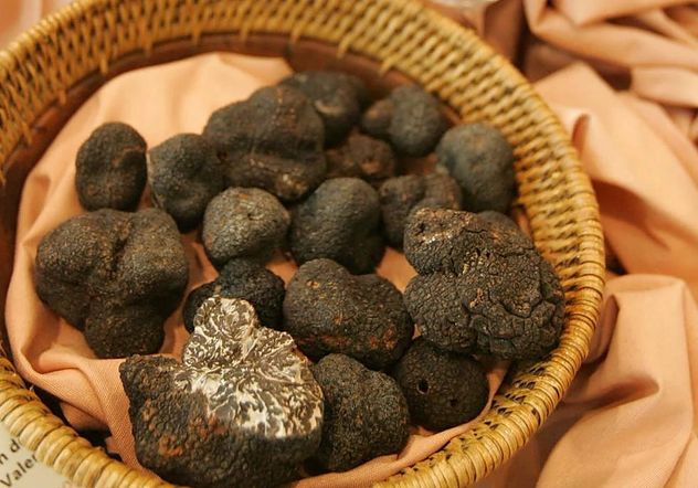 Dónde probar trufa negra en Argentina: el evento que reúne a chefs y productores.