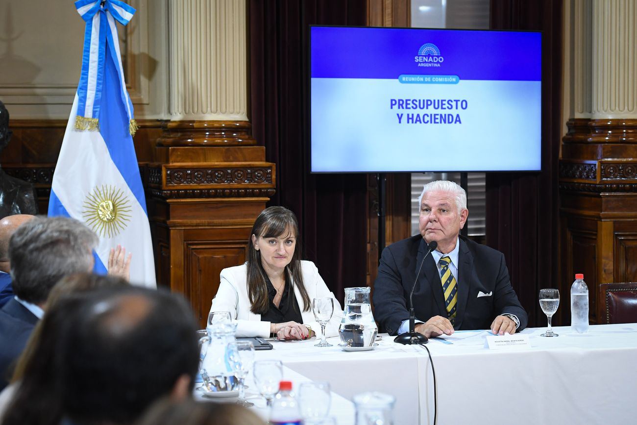 Los senadores Agustín Monteverde (LLA) y Silvana Schneider (UCR), integrantes de la Comisión de Supervisión de la Oficina de Presupuesto del Congreso