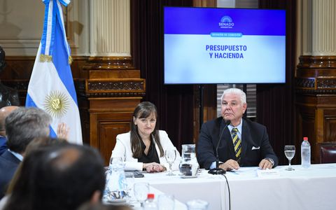 Los senadores Agustín Monteverde (LLA) y Silvana Schneider (UCR), integrantes de la Comisión de Supervisión de la Oficina de Presupuesto del Congreso