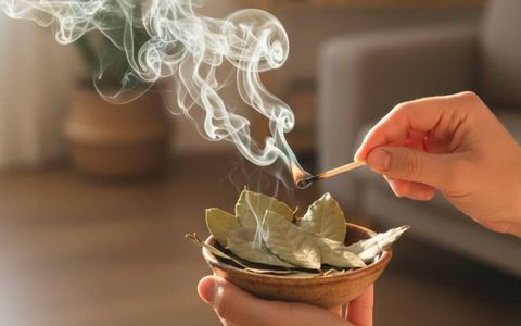 El laurel es considerado un símbolo de abundancia y protección en distintas tradiciones orientales y occidentales.