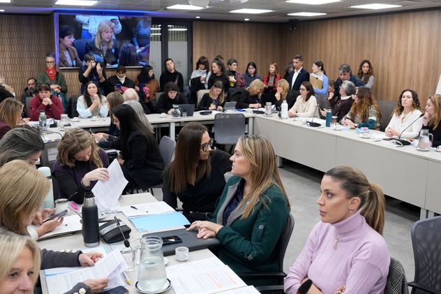 La Comisión de Mujeres y Diversidad de Diputados trató la emergencia por violencia de género