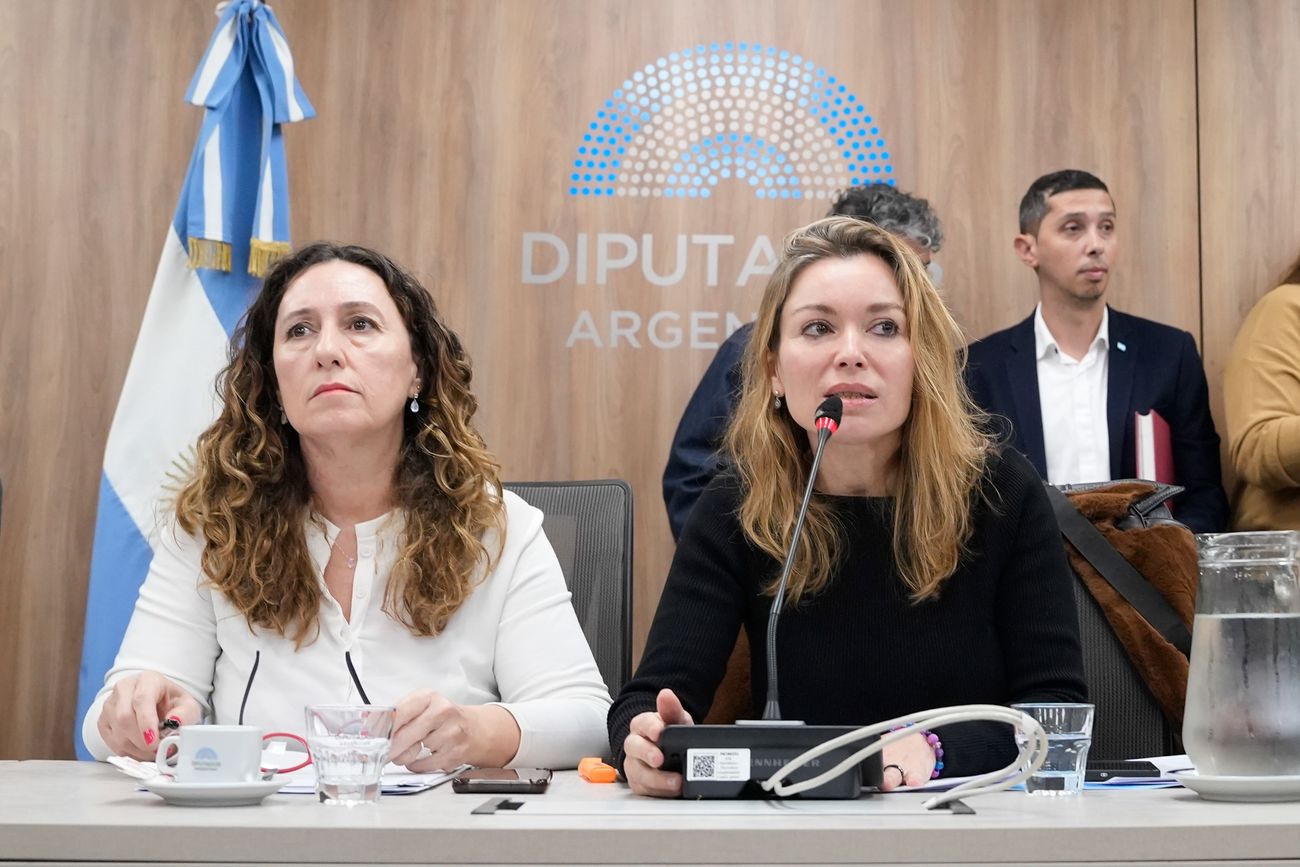 La diputada cordobesa Gabriela Estévez (derecha), presidenta de la Comisión de Mujeres y Diversidad