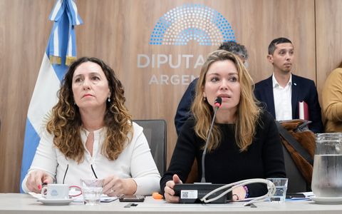 La Comisión de Mujeres y Diversidad de Diputados trató la emergencia por violencia de género