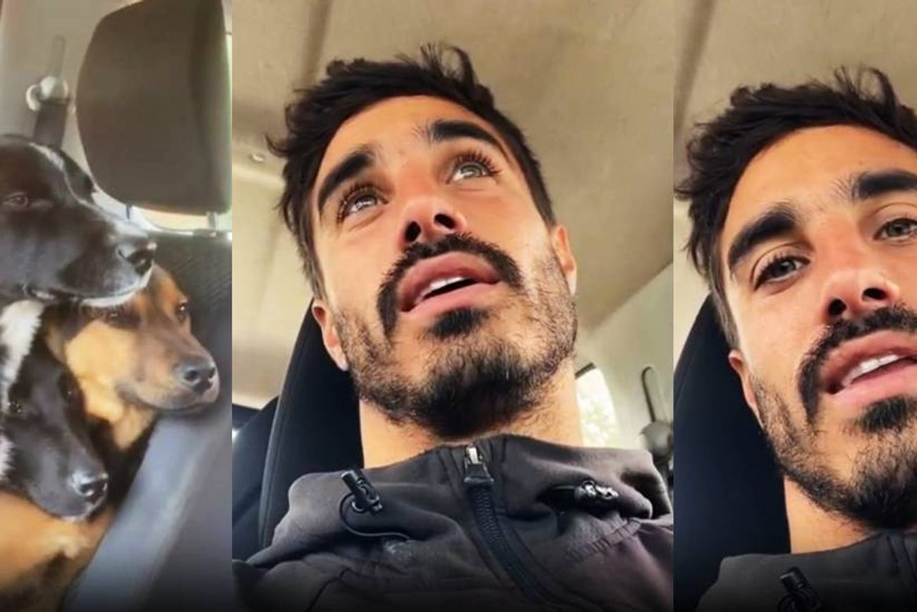 El joven chileno se quedará con los tres perros rescatados.
