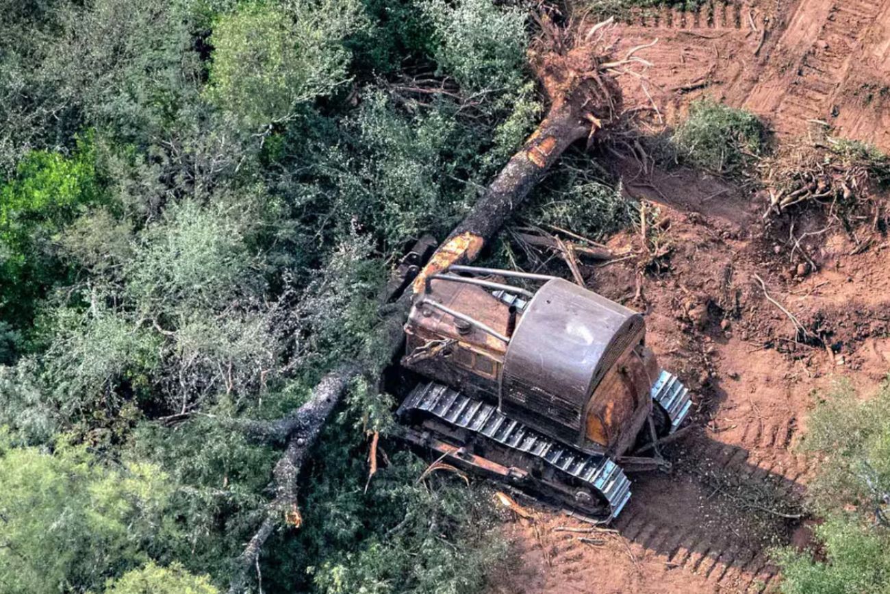 La Justicia Federal frenó los desmontes en el Chaco y ratifica la protección de sus bosques nativos
