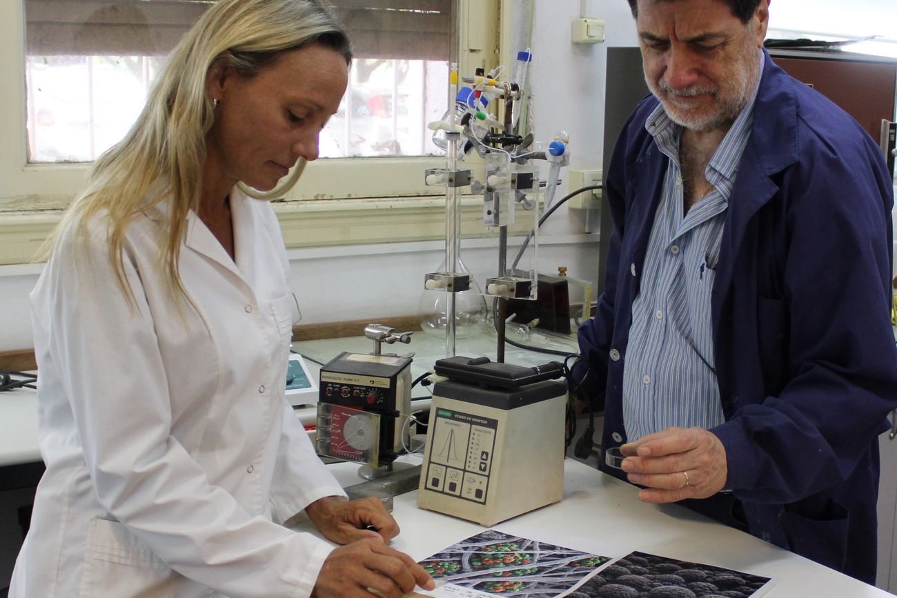 Científicos crean un componente para baterías de litio con residuos de la industria quesera. (Conicet-UNC-Ciquibic)