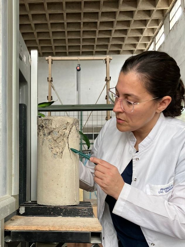 Guilarducci es doctora y directora del Área de Investigación y Desarrollo del Centro de Investigación y Desarrollo para la Construcción y la Vivienda (CECOVI) de la Facultad Regional Santa Fe de la Universidad Tecnológica Nacional (UTN). (Gentileza Calfix)