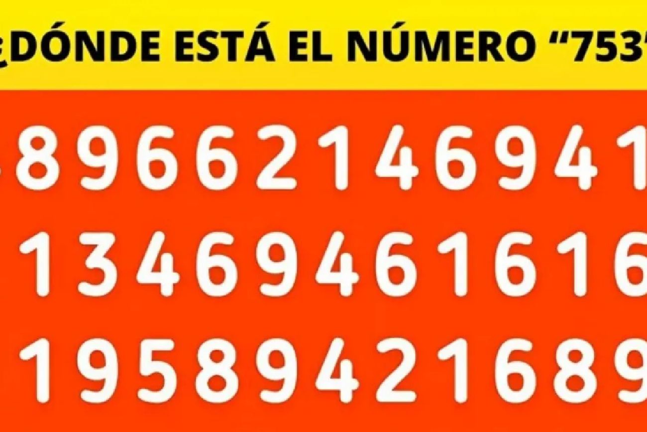 El acertijo visual.