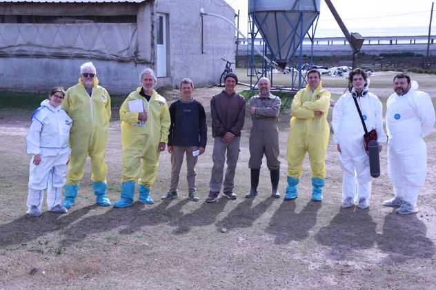 EQUIPO. Integrantes del Inta Marcos Juárez y de las granjas, durante las evaluaciones en los establecimientos de produccion porcina.