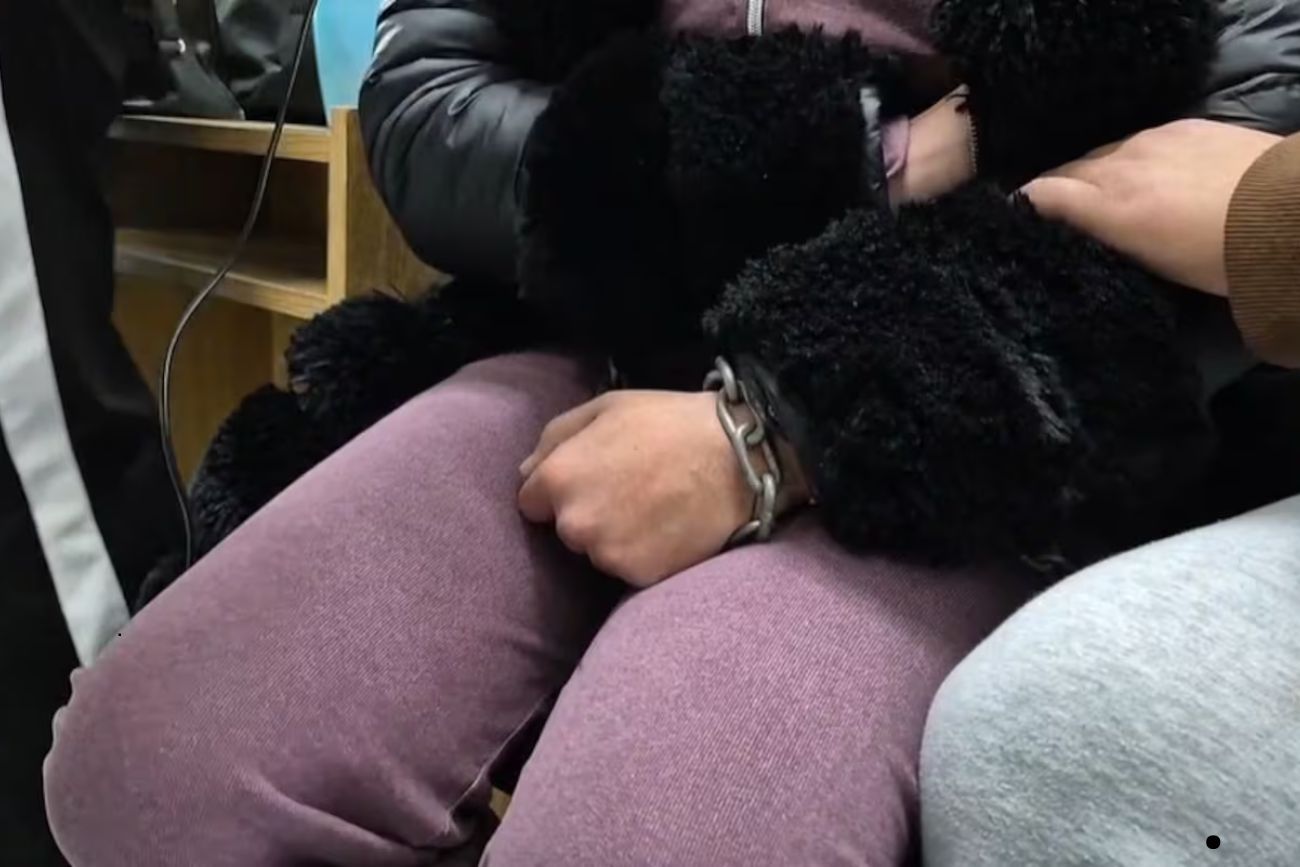 Pedido de justicia en Catamarca: una víctima de abuso se encadenó en la Cámara Penal