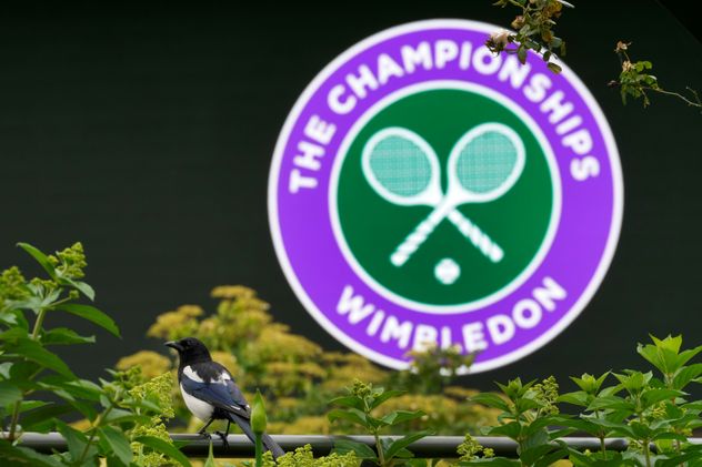 Wimbledon entregará una cifra récord en premios en 2026.