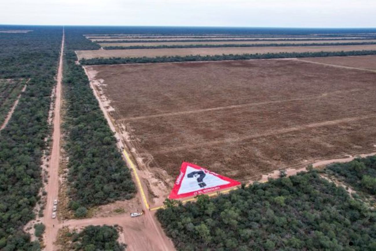 Histórica multa por ecocidio: 21.800 millones de pesos por el desmonte ilegal de 11 mil hectáreas