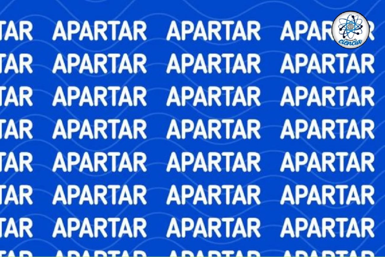 El acertijo visual.