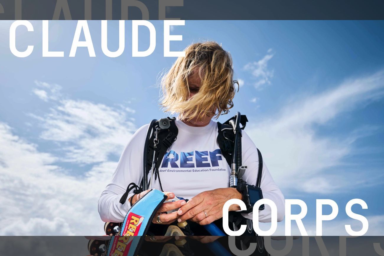 Anthropic lanzó “Claude Corps”, un programa para formar trabajadores en inteligencia artificial: cómo aplicar.