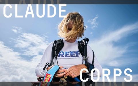 Anthropic lanzó “Claude Corps”, un programa para formar trabajadores en inteligencia artificial: cómo aplicar.
