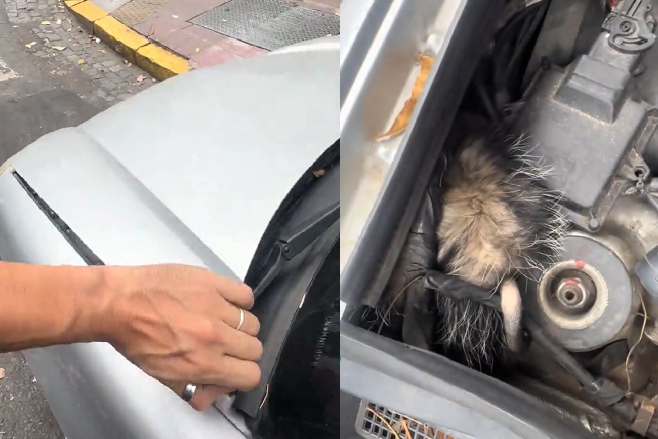 Así estaba el auto.
