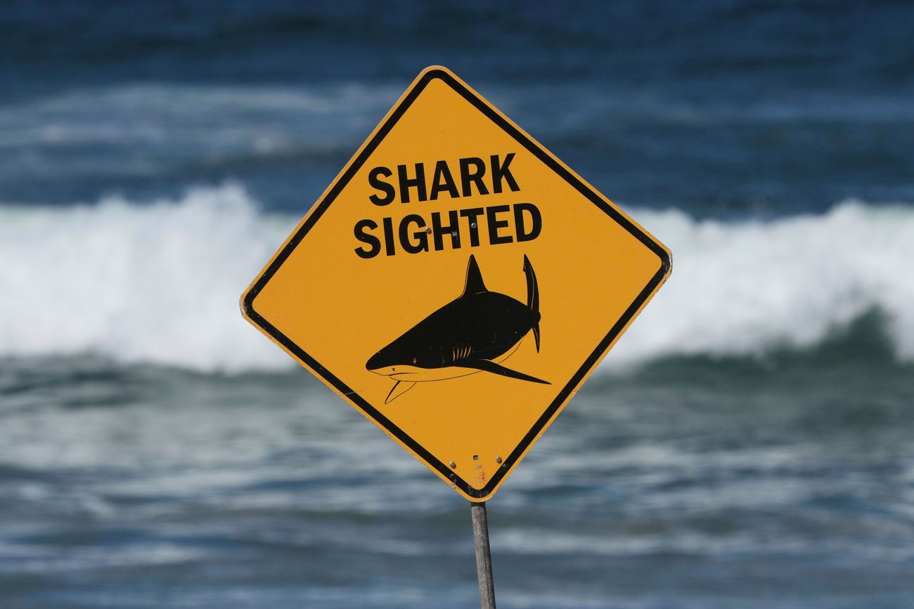 Zona de tiburones en Australia. (AP/Mark Baker/Archivo)

