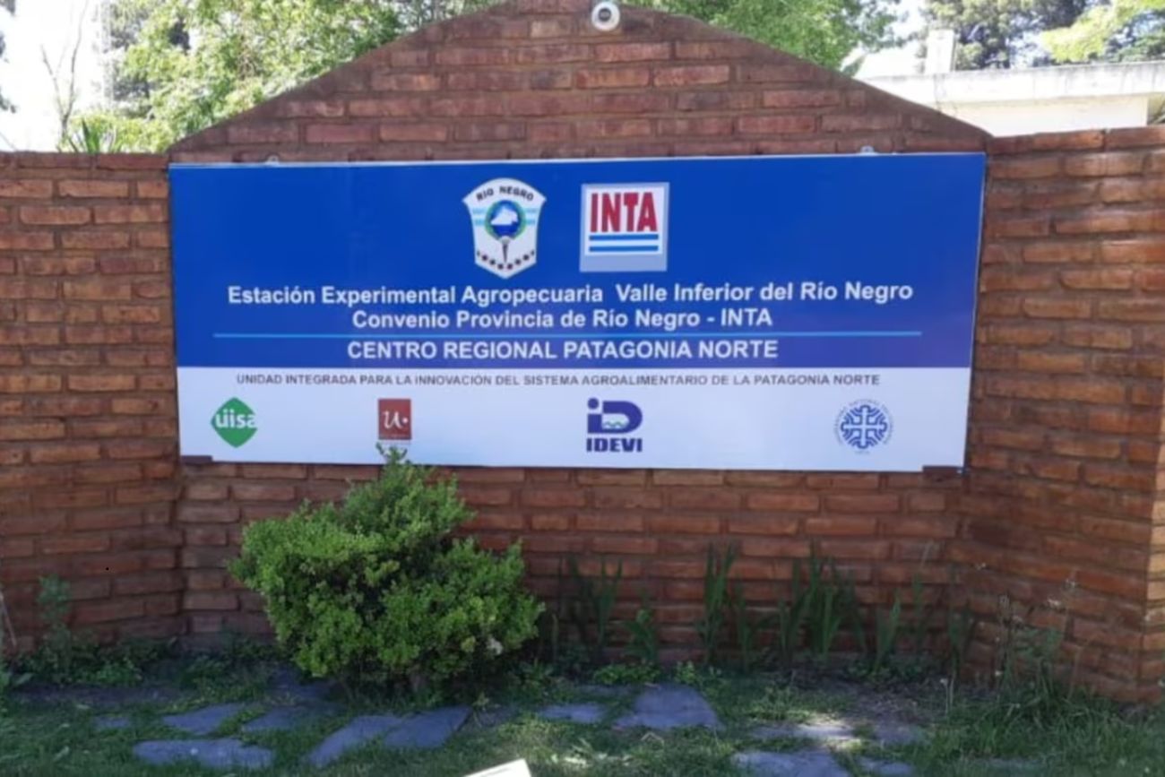 El Inta confirmó 757 retiros voluntarios para reducir la planta en un 20%