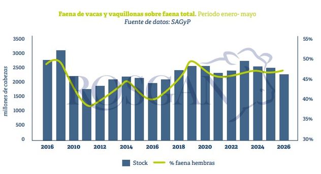 FAENA DE HEMBRAS. La faena
total de hembras ascendió a 2.345.880 cabezas, frente a
las 2.573.937 registradas en igual período de 2025.