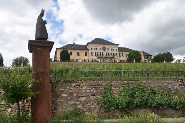 Alemania. Viaje a los viñedos del Rin