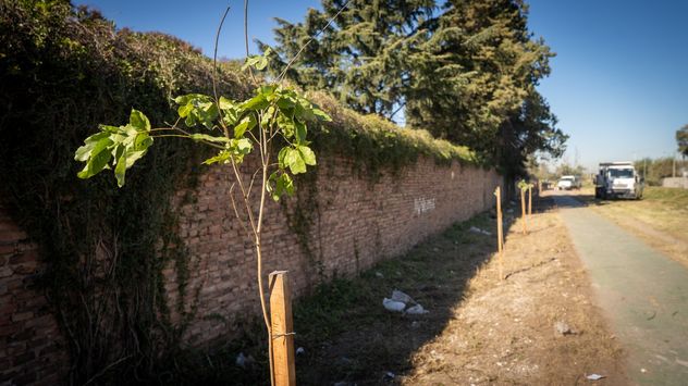 La Municipalidad intervino un predio de 730 metros cuadrados ubicado en la intersección de las calles Jorge Newbery y Alberto Roque Macías.