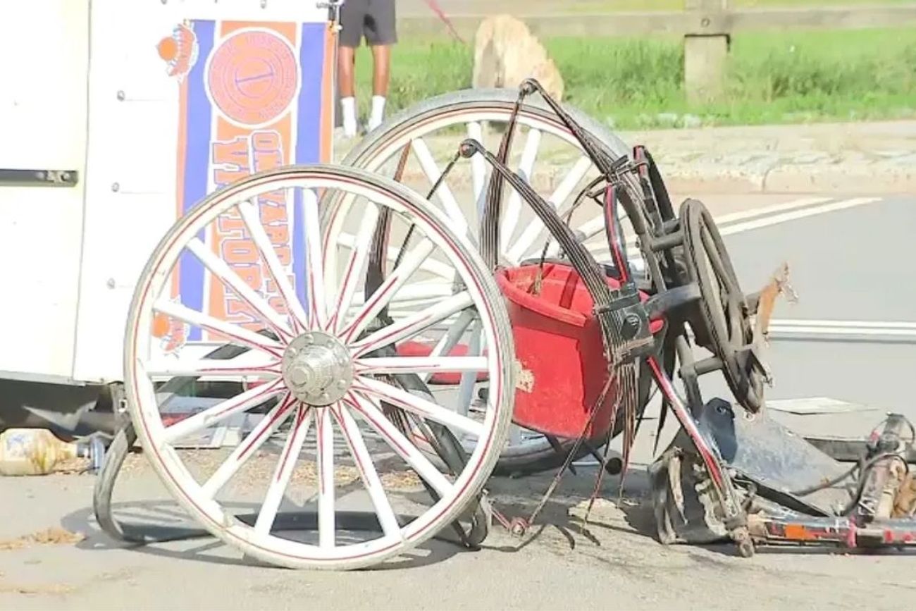 Tragedia en el Central Park: quiso salvar a su mamá y murió tras caer de un carruaje tirado por caballos.