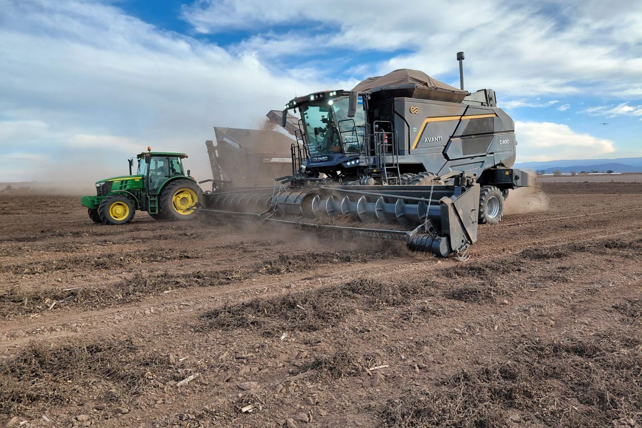 El campo dejó de traccionar en mayo como lo hizo en la primera parte del año.