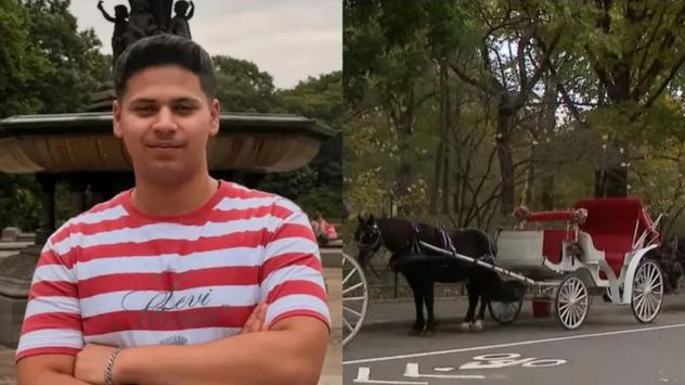 Tragedia en el Central Park: quiso salvar a su mamá y murió tras caer de un carruaje tirado por caballos.