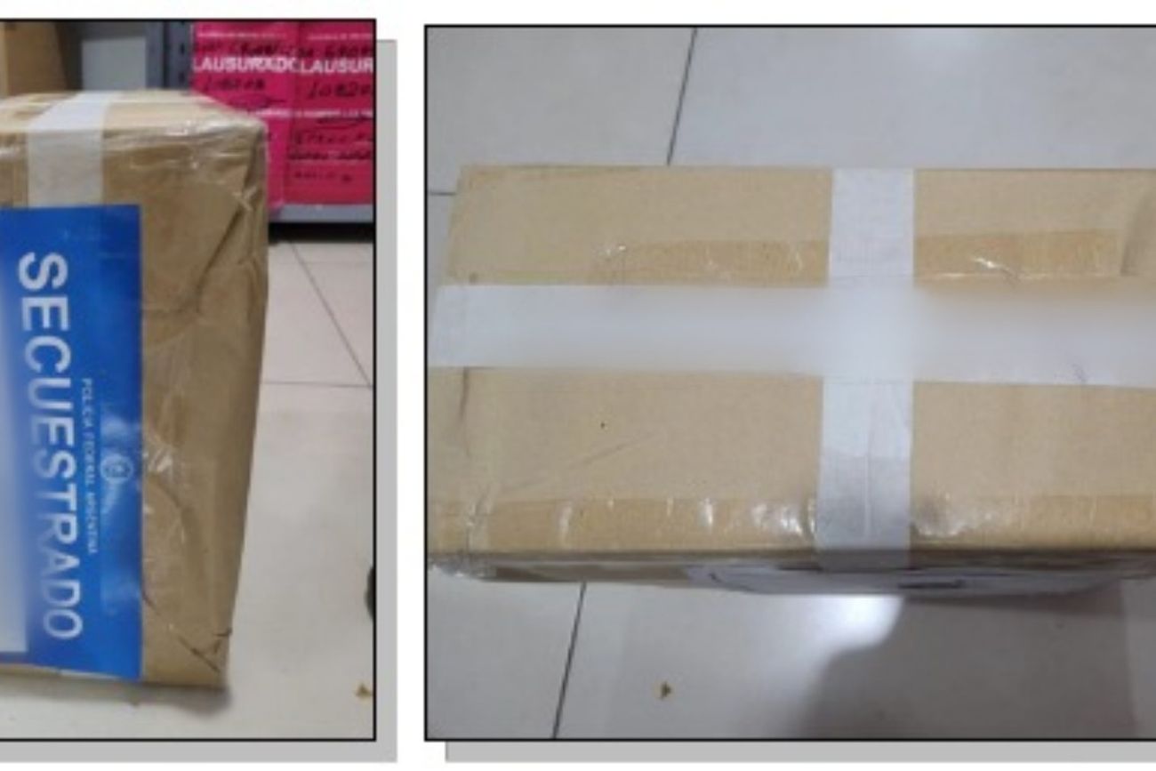 El material secuestrado. (PFA)