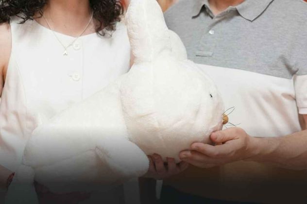 Crean un robot mascota conejo que reconoce a quien le abraza por su voz.