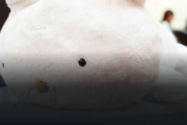Crean un robot mascota conejo que reconoce a quien le abraza por su voz.