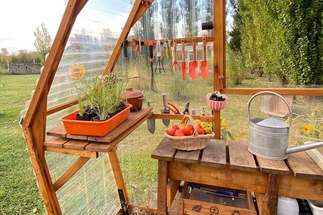 Los invernaderos son ideales para desarrollar la huerta propia y es un espacio seguro para resguardar las plantas de las heladas.