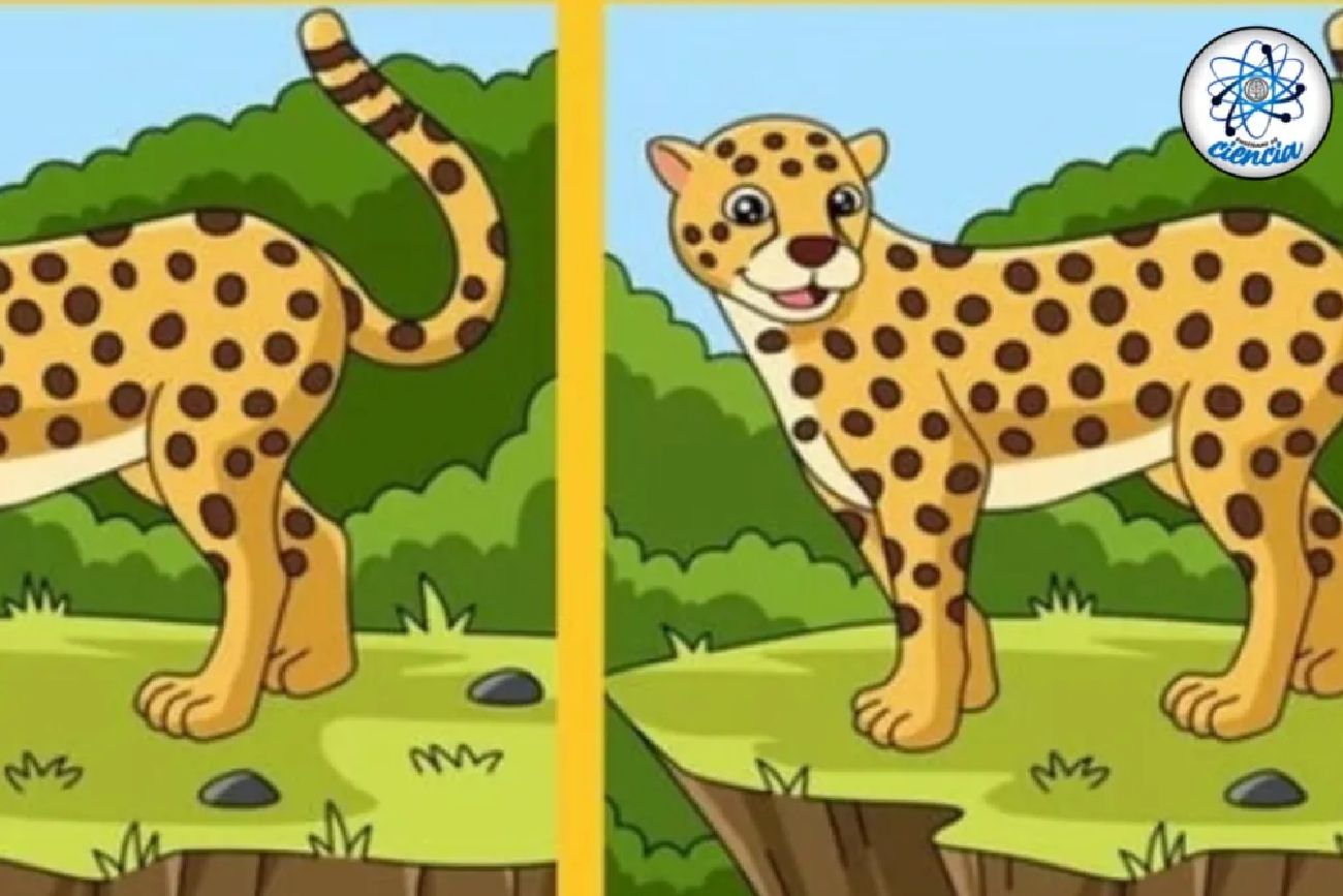 El acertijo visual.