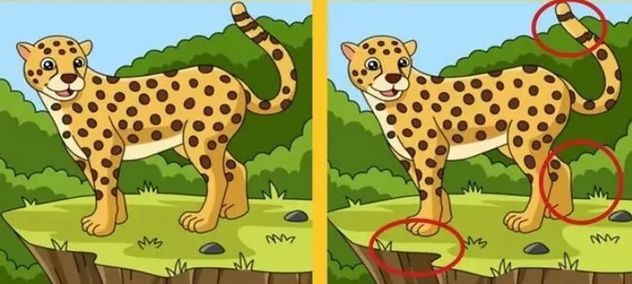 El acertijo visual.