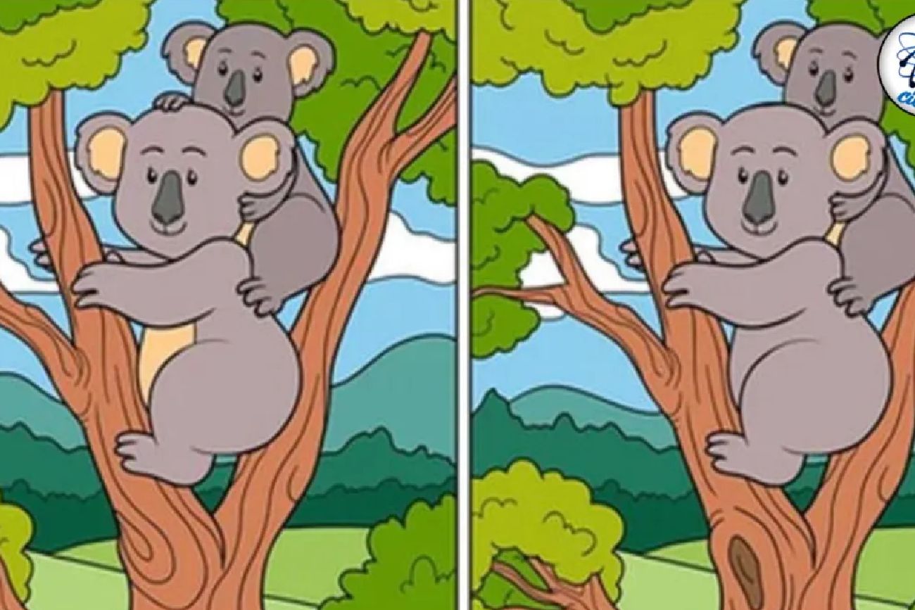 El acertijo visual.