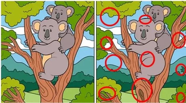 El acertijo visual.