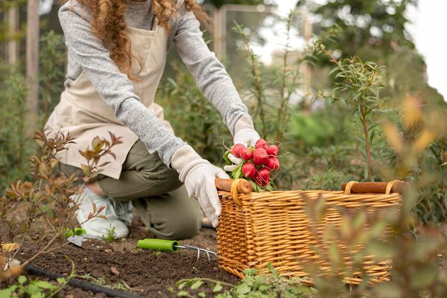 El invierno es la época indicada para sembrar algunas especies de huerta que nacerán en la primavera.