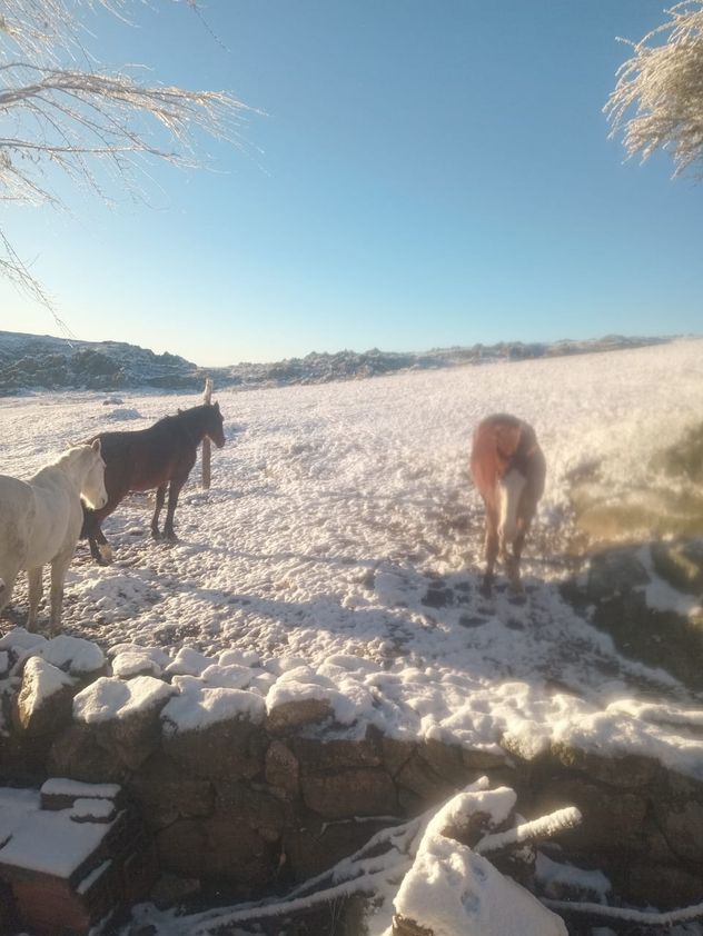 Así está este lunes Estancia Los Merlo, muy cerca de La Cumbrecita, en el Valle de Calamuchita.