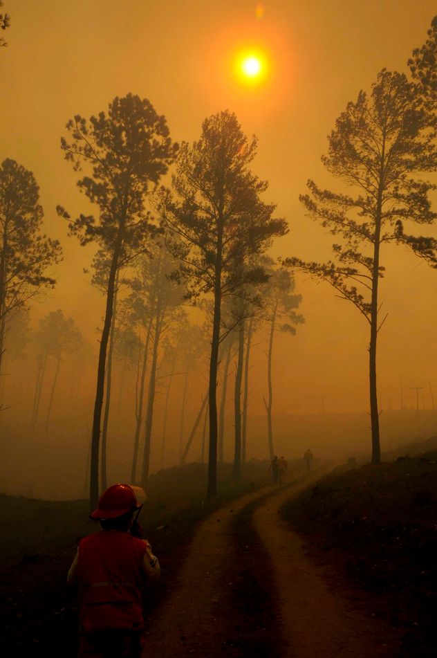 Incendios en Córdoba. Hubo 21 mil hectáreas quemadas en 2025 y 1,5 millones acumuladas en dos décadas
