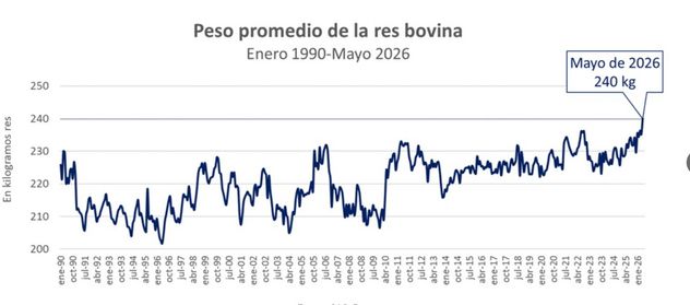 Los datos desde el año 1990.