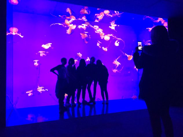 Acuario de Toronto