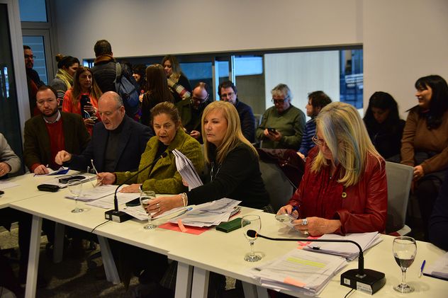 Hormaeche en comisión del Concejo Deliberante por los pedidos de informe por la noche.