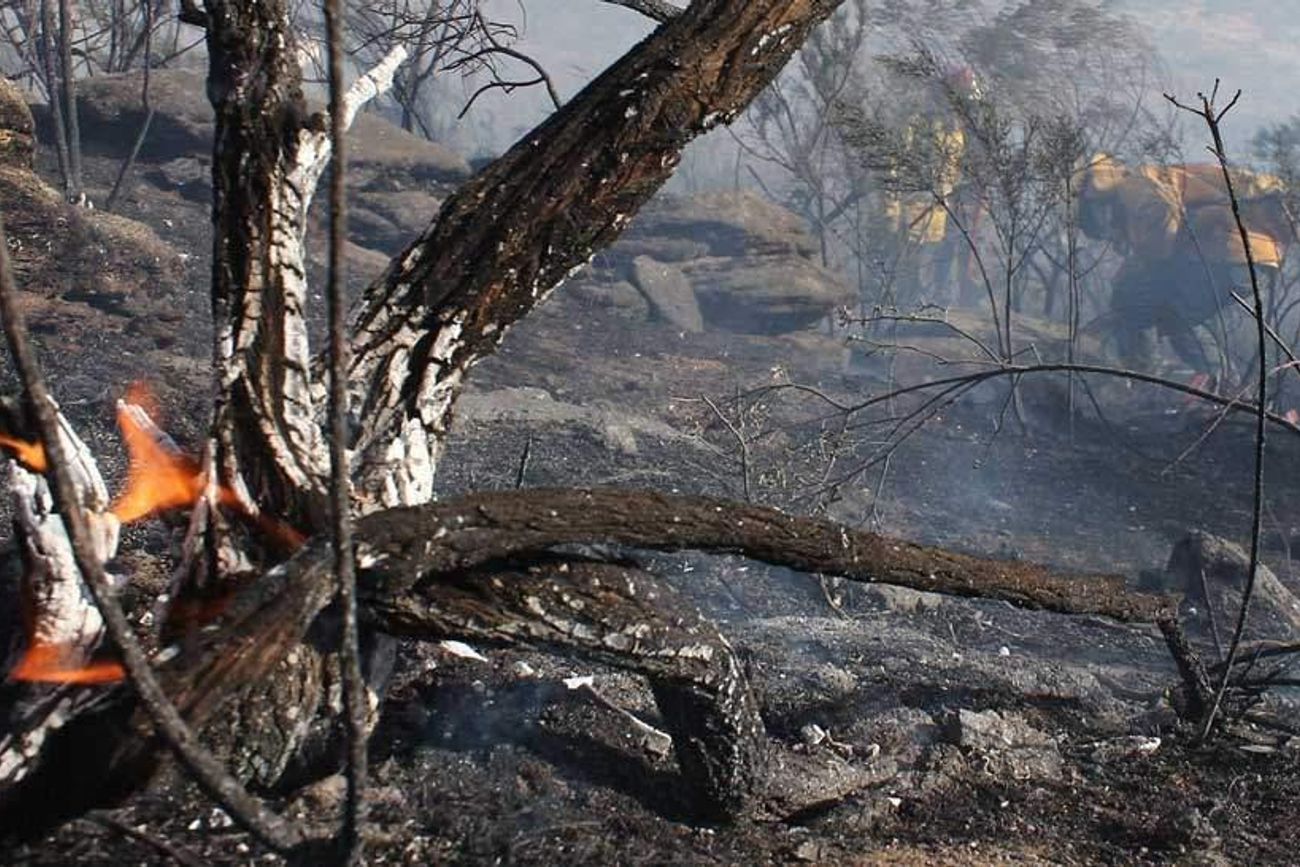 Fuego en Córdoba. La época de mayor riesgo de incendios se da cada año entre junio y octubre.